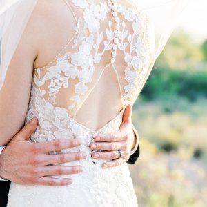 Pronovias Alcyone Wedding Dress Un-Altered Size 8